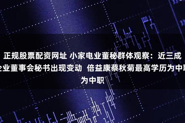 正规股票配资网址 小家电业董秘群体观察：近三成企业董事会秘书出现变动  倍益康蔡秋菊最高学历为中职