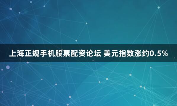 上海正规手机股票配资论坛 美元指数涨约0.5%